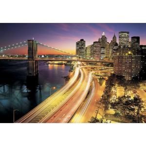 National Geographic 100 in. x 145 in. NYC Lights Wall Mural 8 516