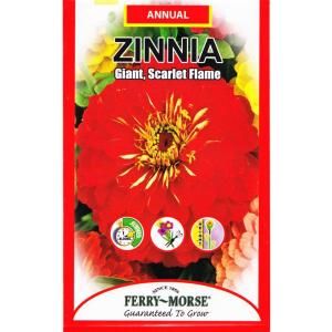 Ferry Morse Zinnia Giant Scarlet Flame Seed 1175