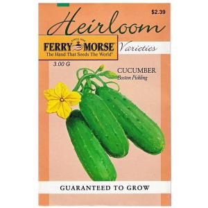Ferry Morse Heirloom Cucumber Boston Pickling Seed 3643
