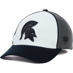 Michigan State Spartans Top of the World NCAA Tri Memory Fit Cap