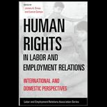 Human Rights in Labor and Employment Relations International and Domestic Perspectives