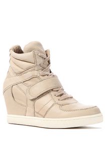 Ash Shoes Sneaker Cool Ter  in Taupe