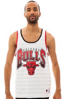 Mitchell & Ness Tank Top Striped Chicago Bulls in White