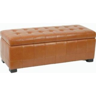 Home Decorators Collection Angelina Large Storage Bench HUD4200C