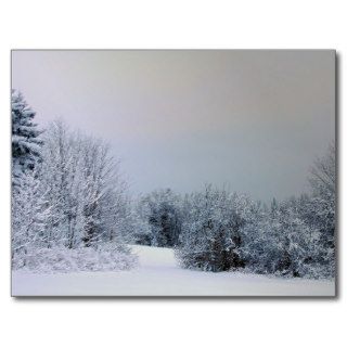 Maine Snow Country Post Cards