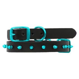 Platinum Pets Black Genuine Leather Dog Collar with Spikes   Teal (17 20)