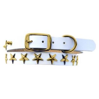Platinum Pets White Genuine Leather Dog Collar with Stars   Gold (11   15)
