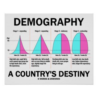 Demography A Country's Destiny (Four Stages) Posters