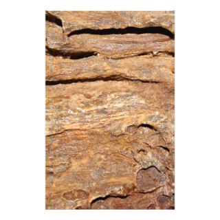 Picture of Fossilized Wood. Flyer Design