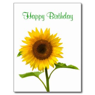 Happy Birthday Yellow Sunflower Greeting Post Card