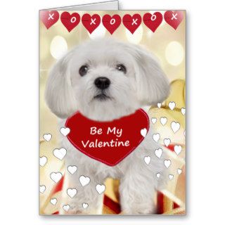 Maltese XOXO Valentine Cards