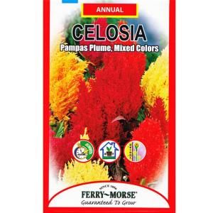 Ferry Morse 200 mg Celosia Pampas Plume Mixed Colors Seed 1031