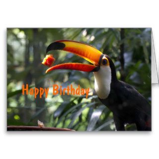 Toco Toucan Birthday Card