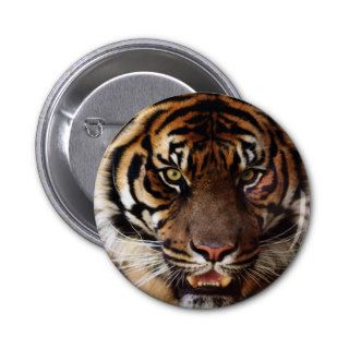 Go Wild Tiger Button
