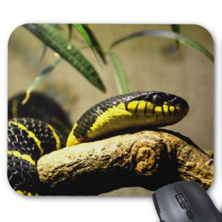 Black and yellow snake mousepad
