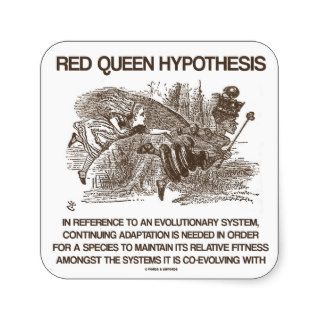 Red Queen Hypothesis (Alice Red Queen Wonderland) Square Stickers