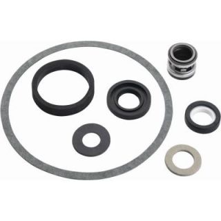 Parts20 Seal and Gasket Kit for FP4100/FP4200 Series Pumps FPP1550