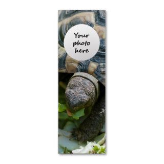 Cute Turtle Business Card Template