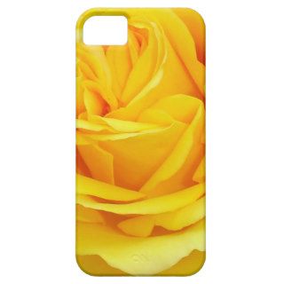 Beautiful Yellow Rose Closeup iPhone 5 Case