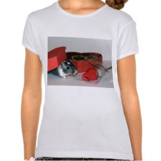 Gerbil Valentine's Kid's Shirt