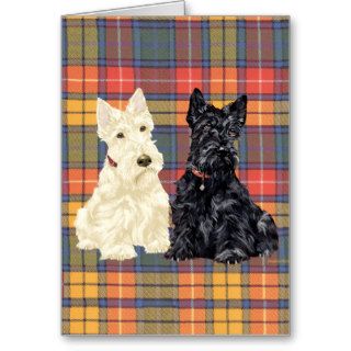 Scottish Terrier Greeting Card