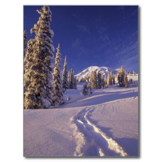 NA, USA, Washington, Mt. Rainier NP, Snowshoe Post Card