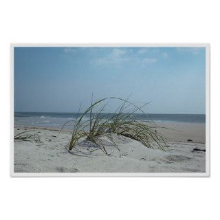Beach Grass Print