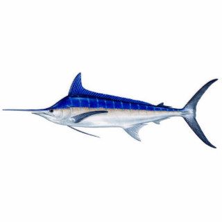 Blue Marlin Cut Outs