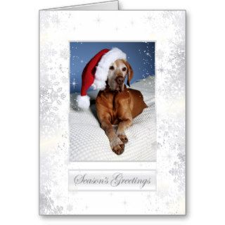 Hungarian Vizsla Christmas Card 007