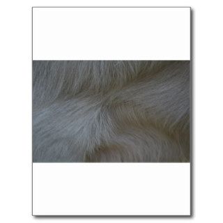 Swirls of white goat hair pattern postcard