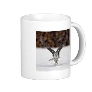 Owl Themed Mugs, Magnets, Necklaces and more