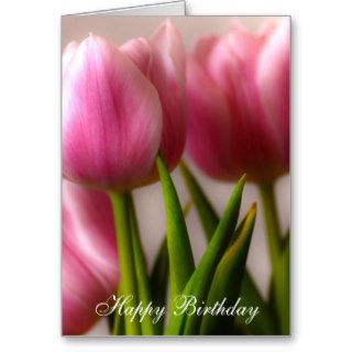 Happy Birthday Tulips Greeting Cards