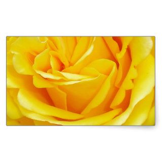 Beautiful Yellow Rose Closeup Rectangle Sticker