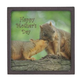 Happy Mother's Day   Mom and Baby Squirrel Premium Jewelry Box