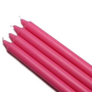 Zest Candle 10 in. Hot Pink Straight Taper Candles (12 Set) CEZ 098