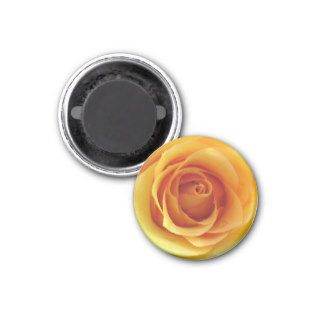 Yellow Rose of Texas Magnet