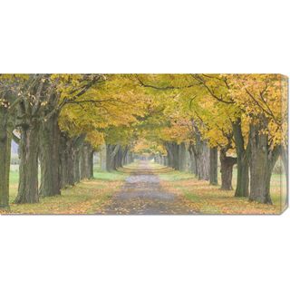 Owaki Kulla 'Country Road Lined by Trees in Autumn' Stretched Canvas Art Canvas