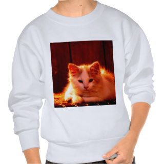 Cat Buffy Longhair Pullover Sweatshirts