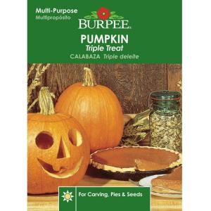 Burpee Pumpkin Triple Treat Seed 65850