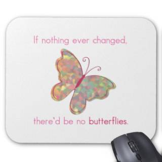 If nothing ever changed, there'd be no butterflies mouse pad