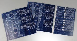 PROVIDA 6 Six Week Body Makeover Blueprint Cards Custom Body for Men & Women  Other Products  