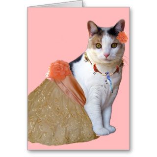 Cat Cards,Happy Birthday Wishes