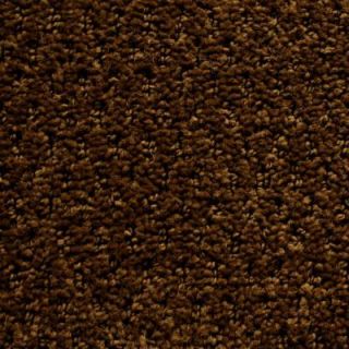 TrafficMASTER Action Item   Color Spring Mountain 12 ft. Carpet H8329 206