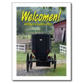 OHCA101.Amish Buggie   Holmes Co OH. Post Cards