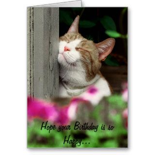 Happy Cat Birthday Card