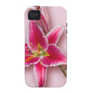 Pink Stargazer Lily and Bud iPhone 4 Case