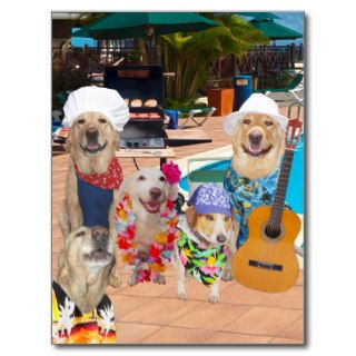 Funny Dog Customizable Pool Party Postcard Invite
