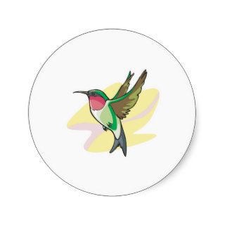 pretty colibri bird stickers