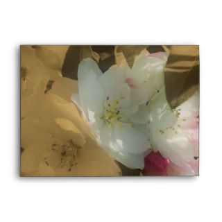 Spring Flower Blossoms In Sepia Envelope