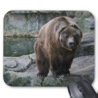 Brown Kodiak Bear Mouse Pad